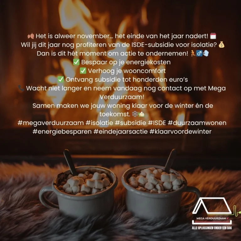 Instagram post from megaverduurzaam. This post is in position 0.